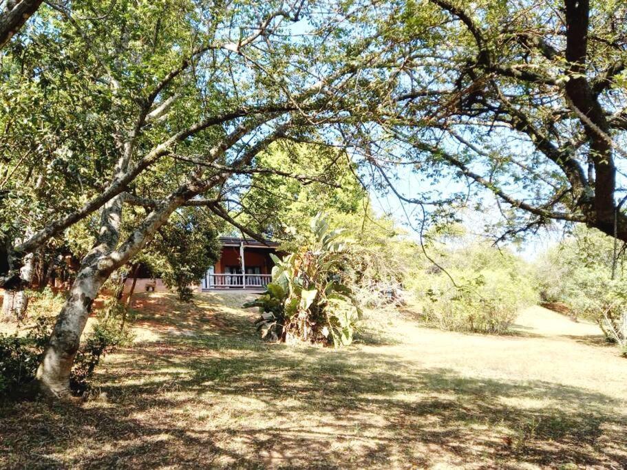 Bee-Eater Cottage, Dagama Dam White River Exterior photo